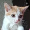 5КИЛОГРАММ МЕФЕДРОНА