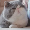 Rubyfil