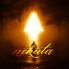 nekuta