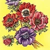 Anemone Coronaria