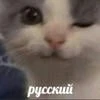 Stoyanka1