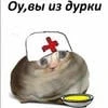 Радужный пельмень 101