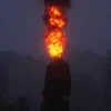 Белая Печёнка