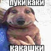 JayJay111