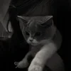 Dana_2