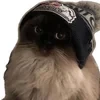 Сильвий Чаевский