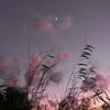 Хван Ён Су