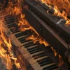 маленькая_котя