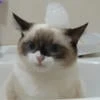 Безымянный ТхТ