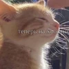 обрати на меня внимание