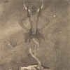 ephimerium