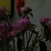 Morning moment
