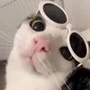 Я аморальный