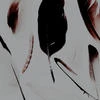 nix-nox