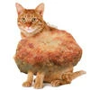 кактус_пшел_на_работу