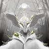 Shadowwalker31
