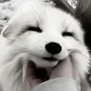 Шампунь для волос котиков 12