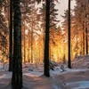 Государь всея Руси