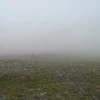 empty sky