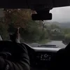 можно просто лиза