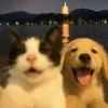 Котик и Собачка