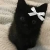 Riluka