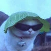 Никита._.238