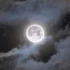 mmmooonlight