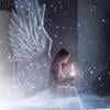 _Angelus_