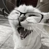 its.Tanya