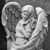 Somber Air
