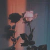 Плецкая