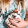 Lissa_WildFox