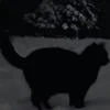 Moonfzu