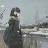 Крыса Маковых Полей