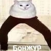 Пирог с Озона.