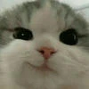 YanbIch