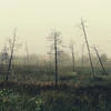 FireLake