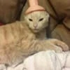 Sleepy_witch._