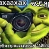 dan.zhigulov