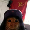 Советские тапочки