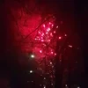 Алый Огонёк