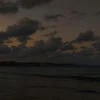 Морковка в запое
