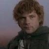 Samwise__the_brave