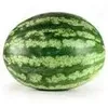 Watermelon231