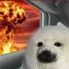П2рс4к_пр0