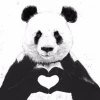 Panda.L