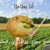 cavtenoon