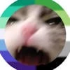 3lou_KoT