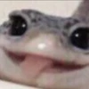 Maionezik__